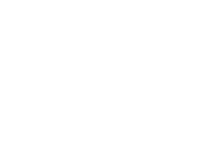 2021_Greater_Rochester_Chamber_Top_100_Logo_White