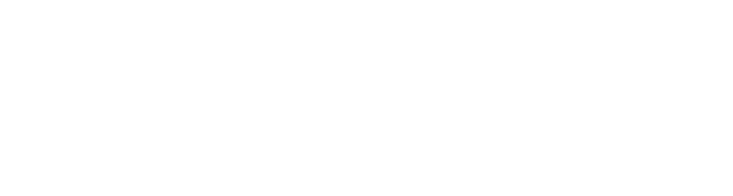 AeroSafe Global logo